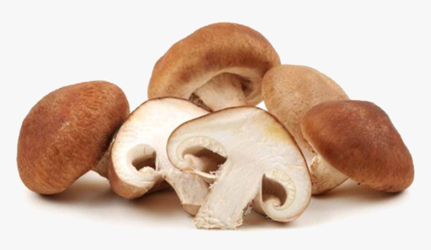 Shitaki Mushroom, HD Png Download, Free Download