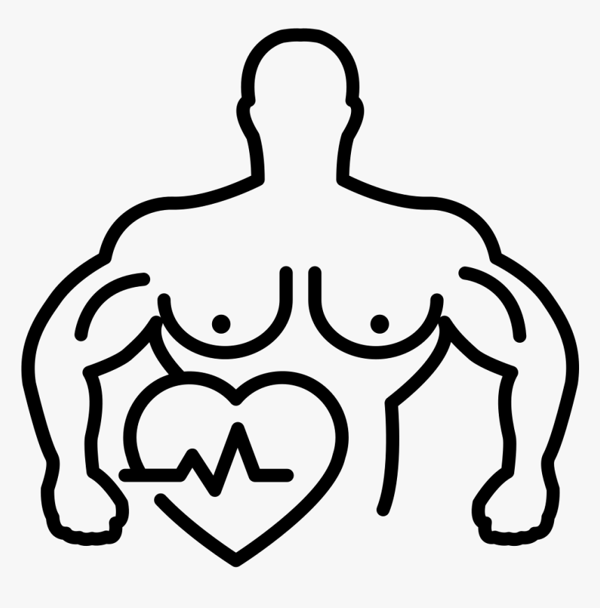 Transparent Muscular Clipart - Hypertrophy Clipart, HD Png Download, Free Download