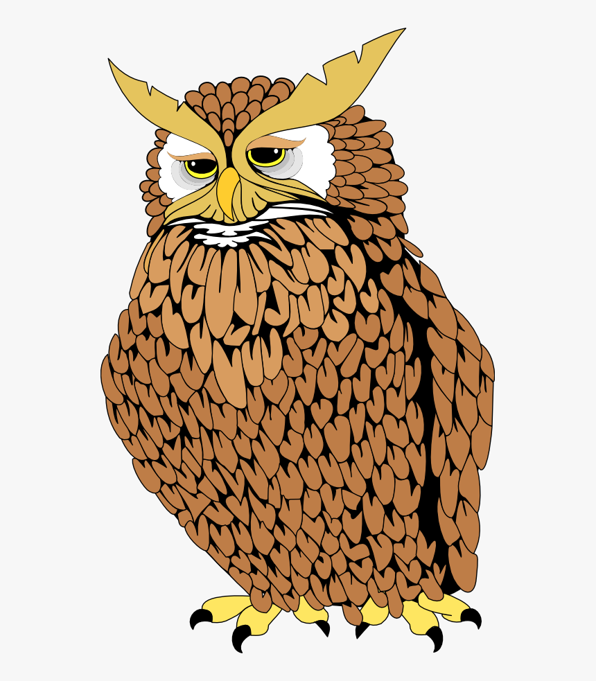 Owl Clipart , Png Download - Tecolote Png, Transparent Png, Free Download