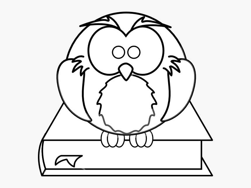 Owl - Book - Clipart - Owl Coloring Pages, HD Png Download, Free Download