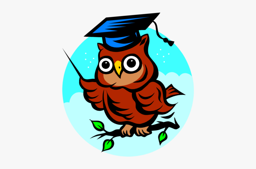 Fau Hs Rotary Scholar For January - Wise Owl, HD Png Download, Free Download