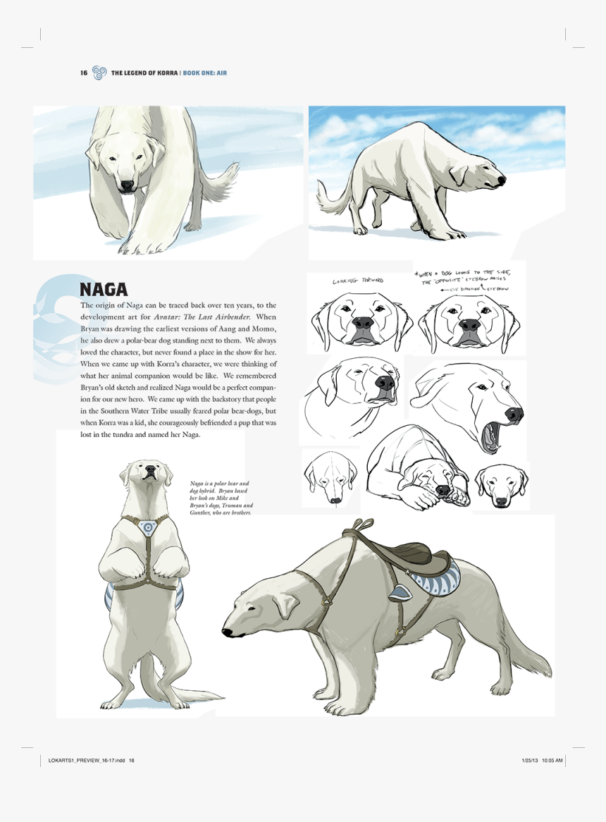 Polar Bear Nala Korra, HD Png Download, Free Download