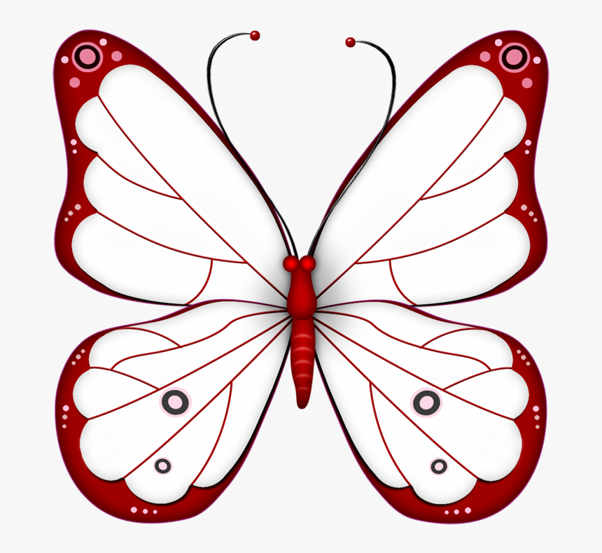 Transparent Butterfly Outline Png - Transparent Background Butterfly Clipart Png, Png Download, Free Download