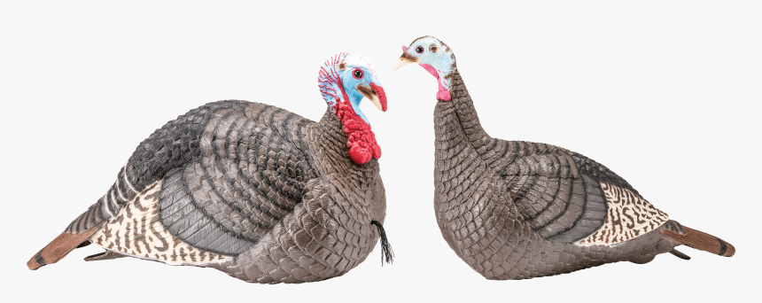 Hs Turkey Decoys, HD Png Download, Free Download