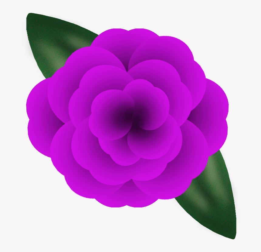 Japanese Camellia, HD Png Download, Free Download