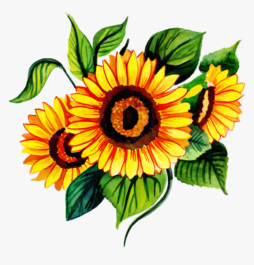 Sunflower Background For Birthday, HD Png Download, Free Download