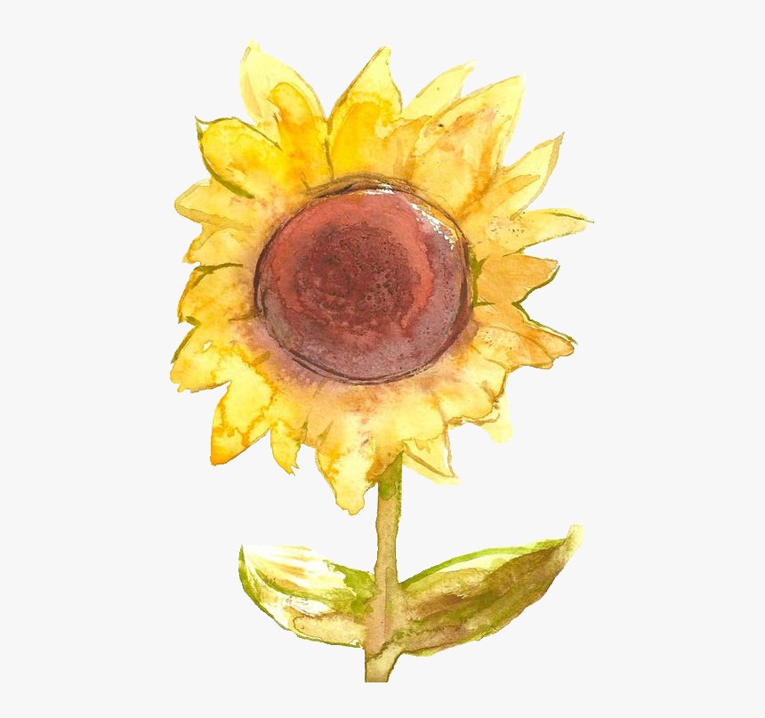 Sunflower Png, Transparent Png, Free Download