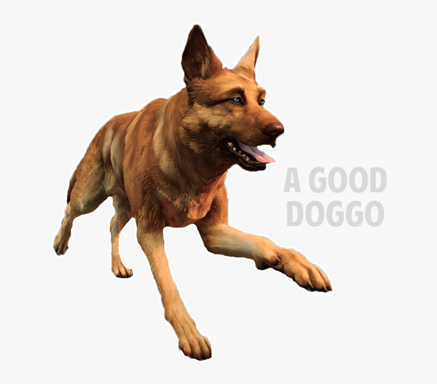 Dog Yawns, HD Png Download, Free Download