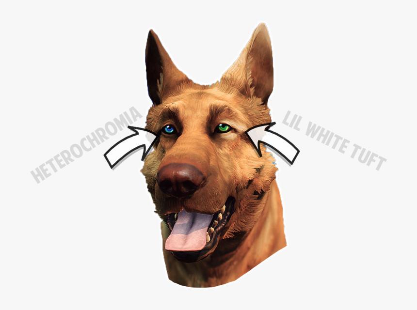 Dog Yawns, HD Png Download, Free Download