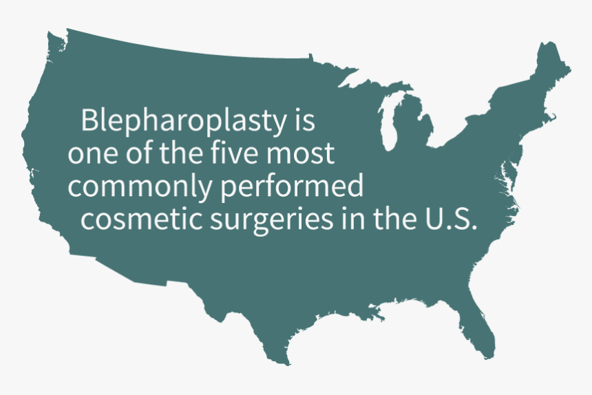 "blepharoplasty Is One Of The Five Most Commonly Performed - United States Map Grey, HD Png Download, Free Download