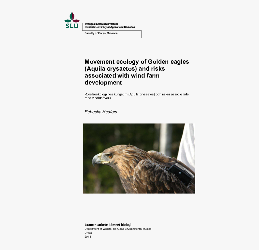 Golden Eagle , Png Download - Swedish University Of Agricultural Sciences, Transparent Png, Free Download