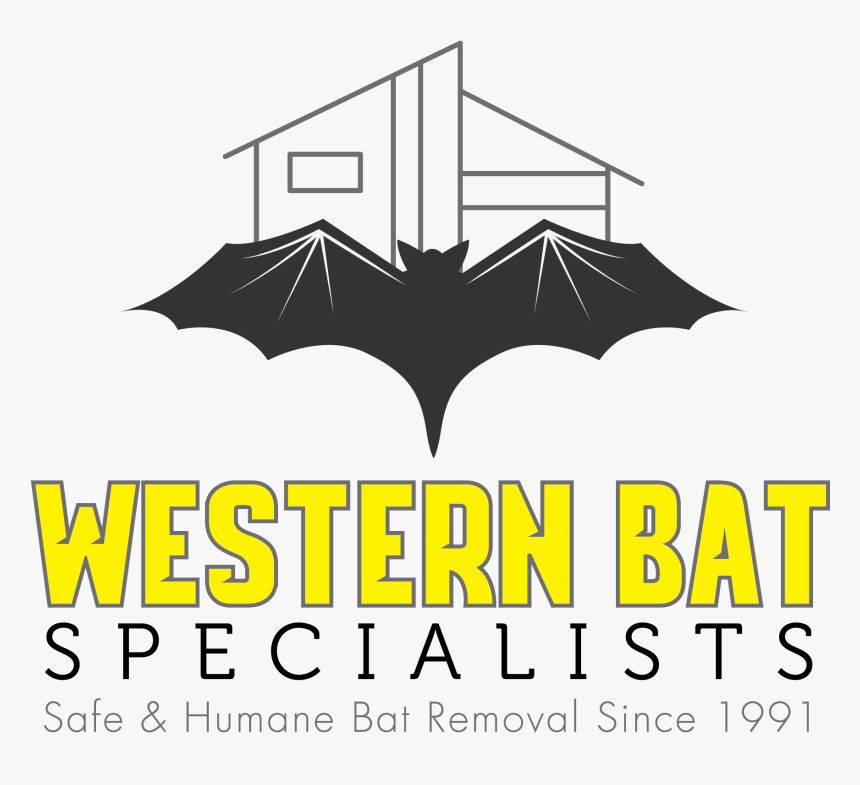 Western Bat Specialists, Inc - Umbrella, HD Png Download, Free Download