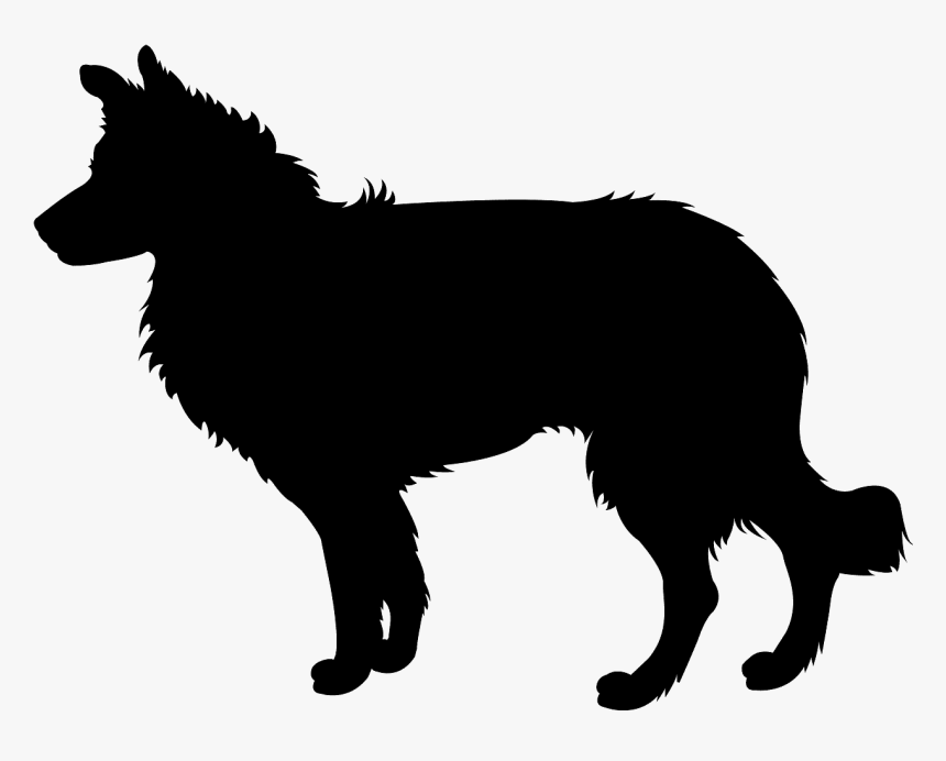 Border Collie Silhouette Vector, HD Png Download, Free Download