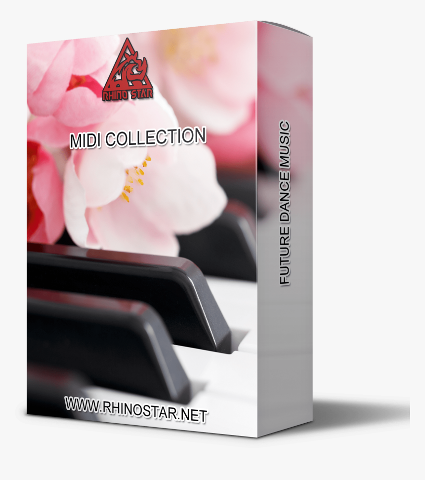 Midi Files Collection Of Chords, Chord Progressions, - Musical Keyboard, HD Png Download, Free Download