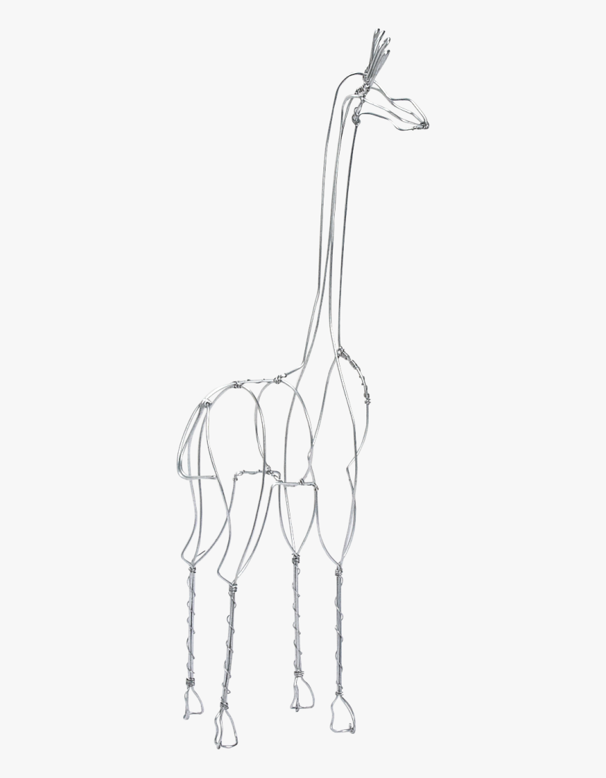 Giraffe, HD Png Download, Free Download