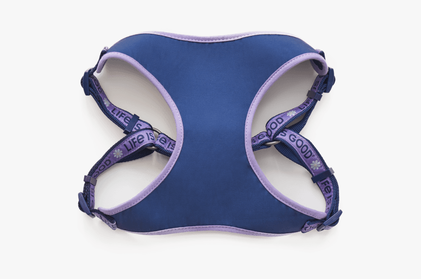 Daisy Lig Dog Harness - Brassiere, HD Png Download, Free Download