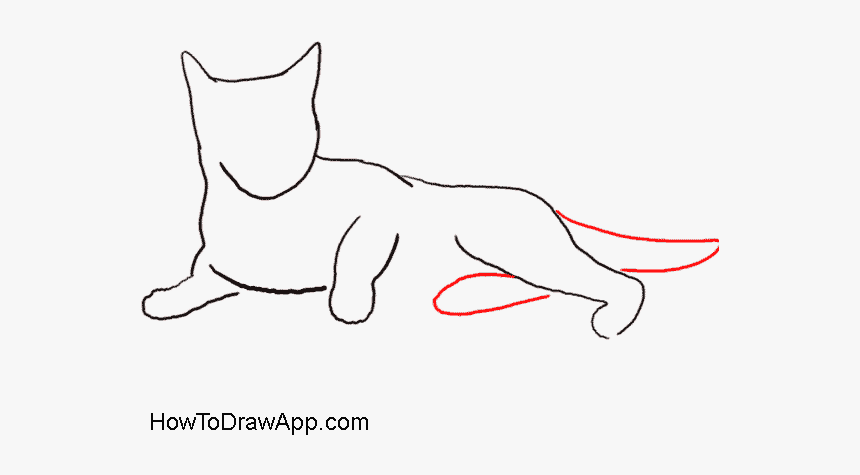 Cat Face Outline Png - Line Art, Transparent Png, Free Download