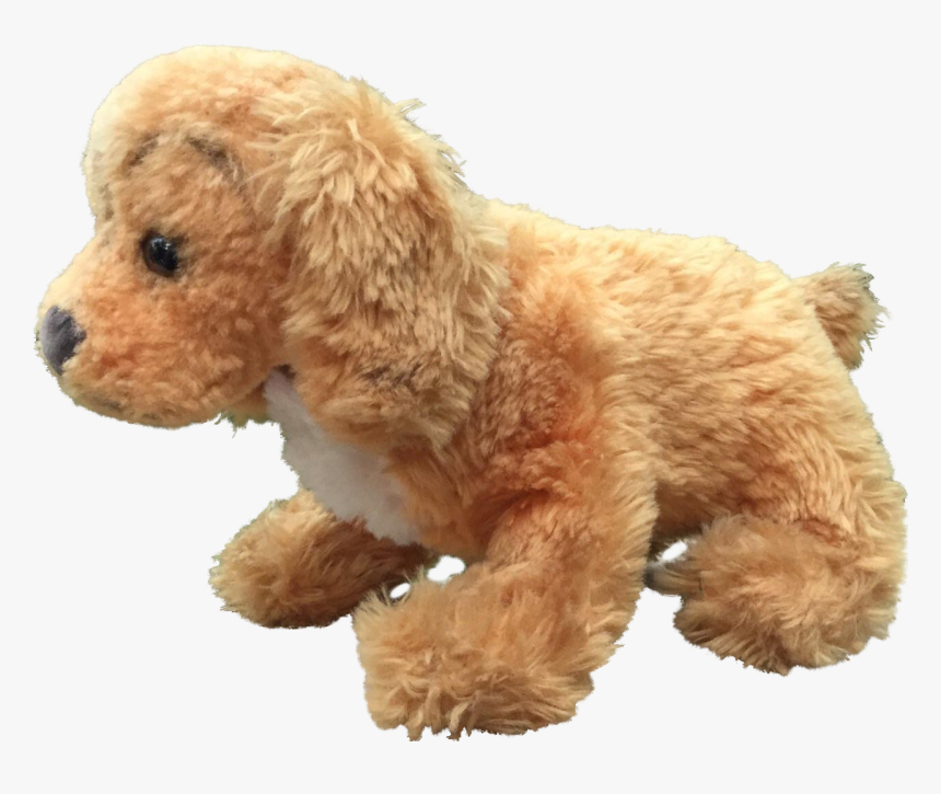 Miniature Poodle Toy Poodle Spanish Water Dog Standard - Toy Poodle, HD Png Download, Free Download