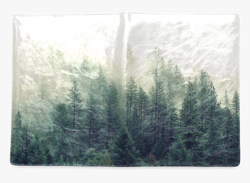 Calming Green Nature Forest Scene Misty Foggy Custom - Fir, HD Png Download, Free Download