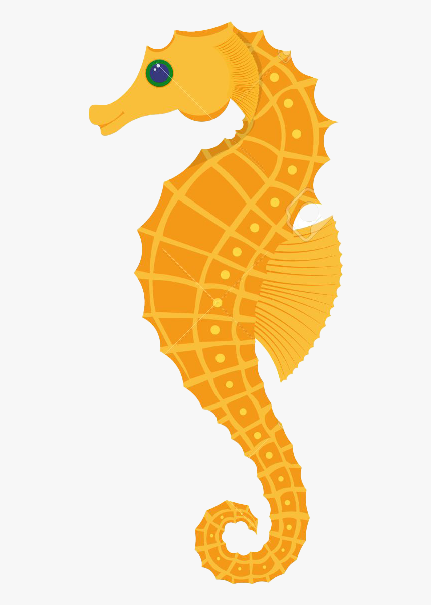 Seahorse Download Free Png - Seahorse Vector Illustration, Transparent Png, Free Download