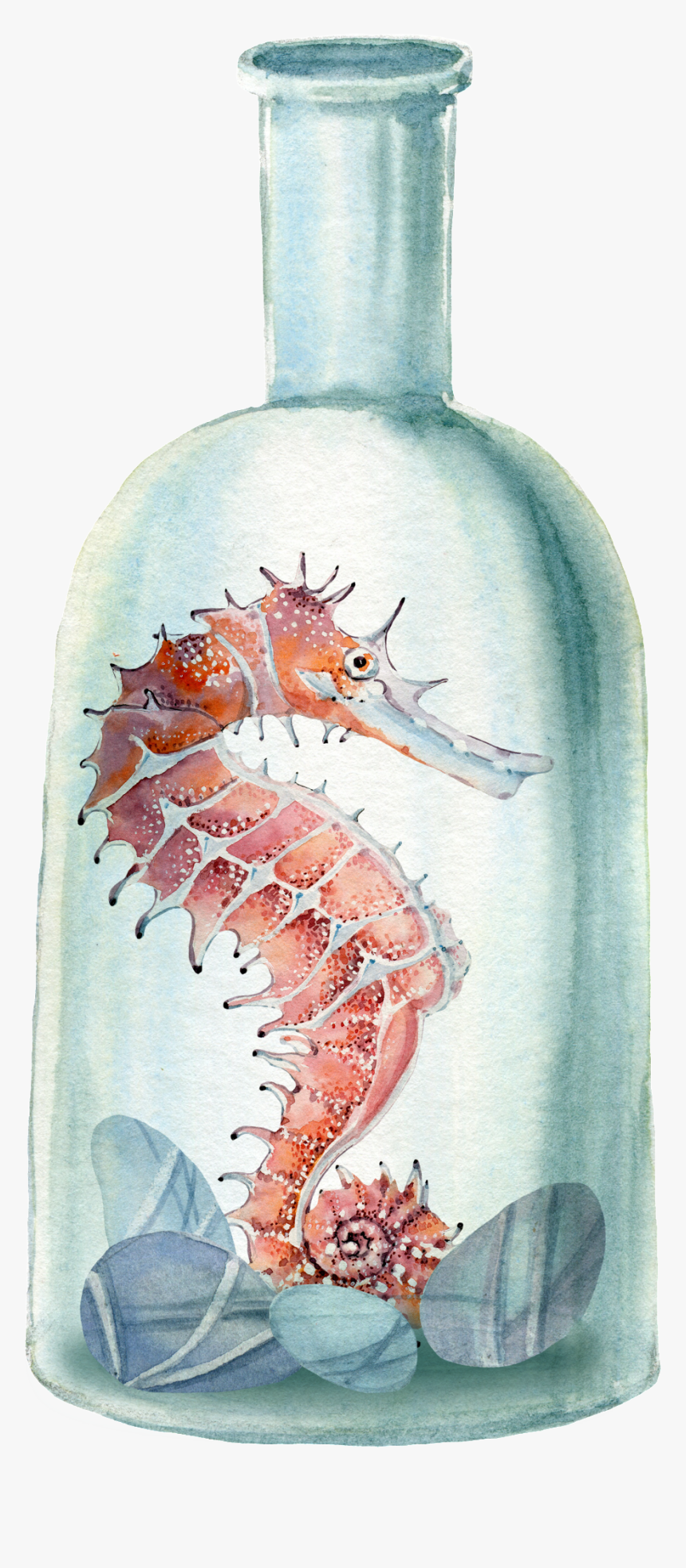 Hand Painted Seahorse Png Transparent In The Bottle - Cavalo Marinho A Aguarela, Png Download, Free Download