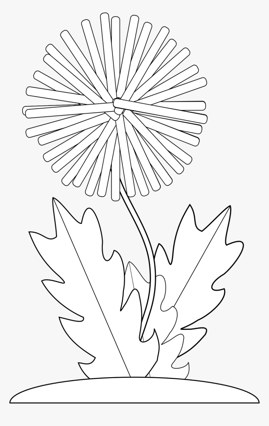 Black And White Crayon Dandelion Flower Free Photo - Vector Graphics, HD Png Download, Free Download