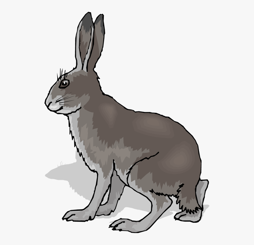 Free Rabbit Clipart - Coney Animal, HD Png Download, Free Download