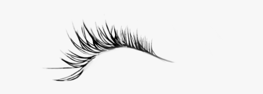 #eyelash #eyelashes #eyelashsticker #makeup #beauty - Eyelash Extensions, HD Png Download, Free Download