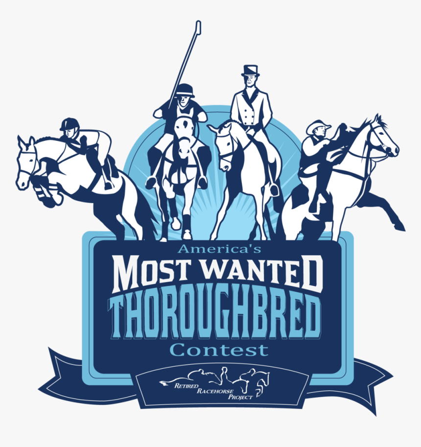 America"s Most Wanted Thoroughbred Contest Launched - Thoroughbred, HD Png Download, Free Download