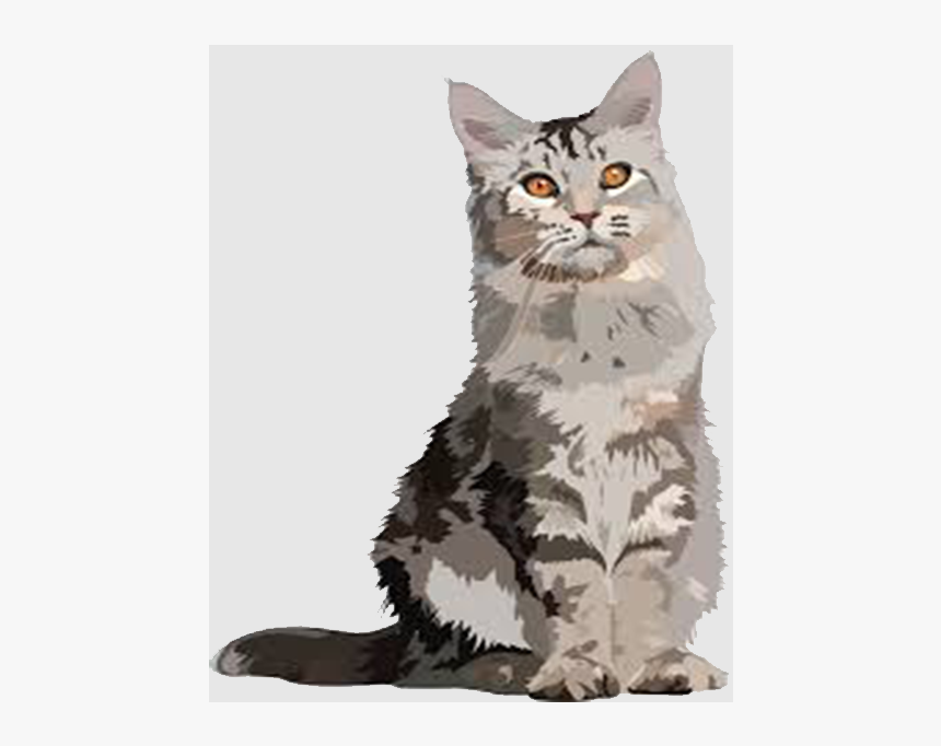 Domestic Short-haired Cat, HD Png Download, Free Download