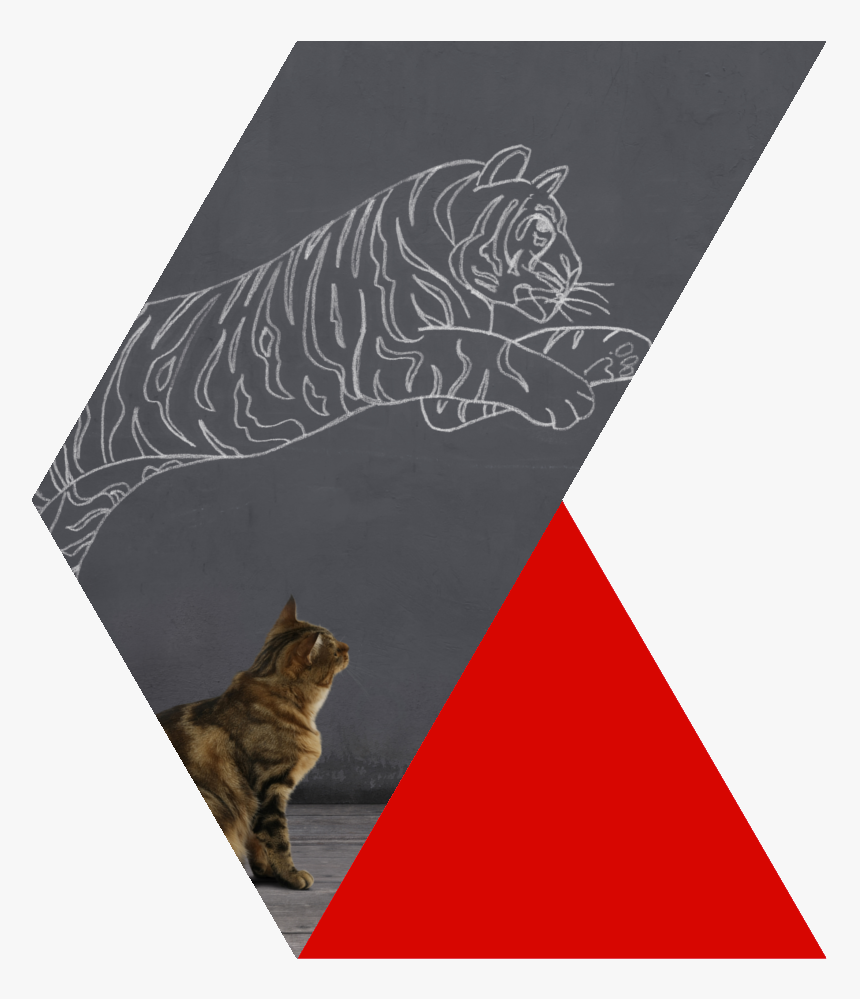 Tabby Cat , Png Download - Tabby Cat, Transparent Png, Free Download