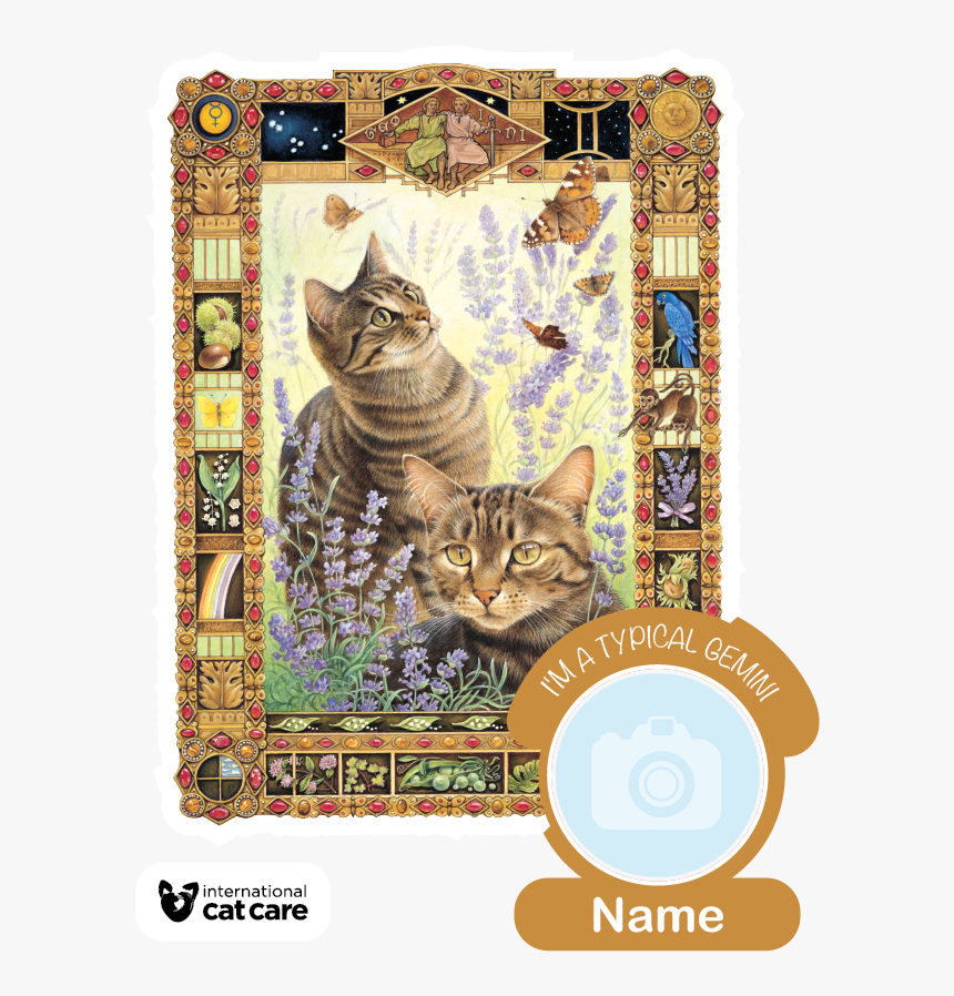 Lesley Anne Ivory Zodiac, HD Png Download, Free Download