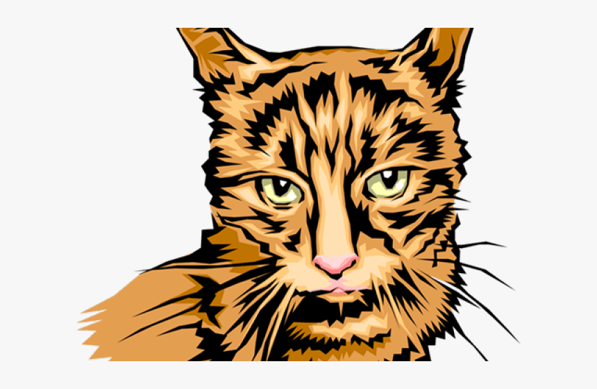 Tabby Cat Clipart Cat Head - Tabby Cat, HD Png Download, Free Download