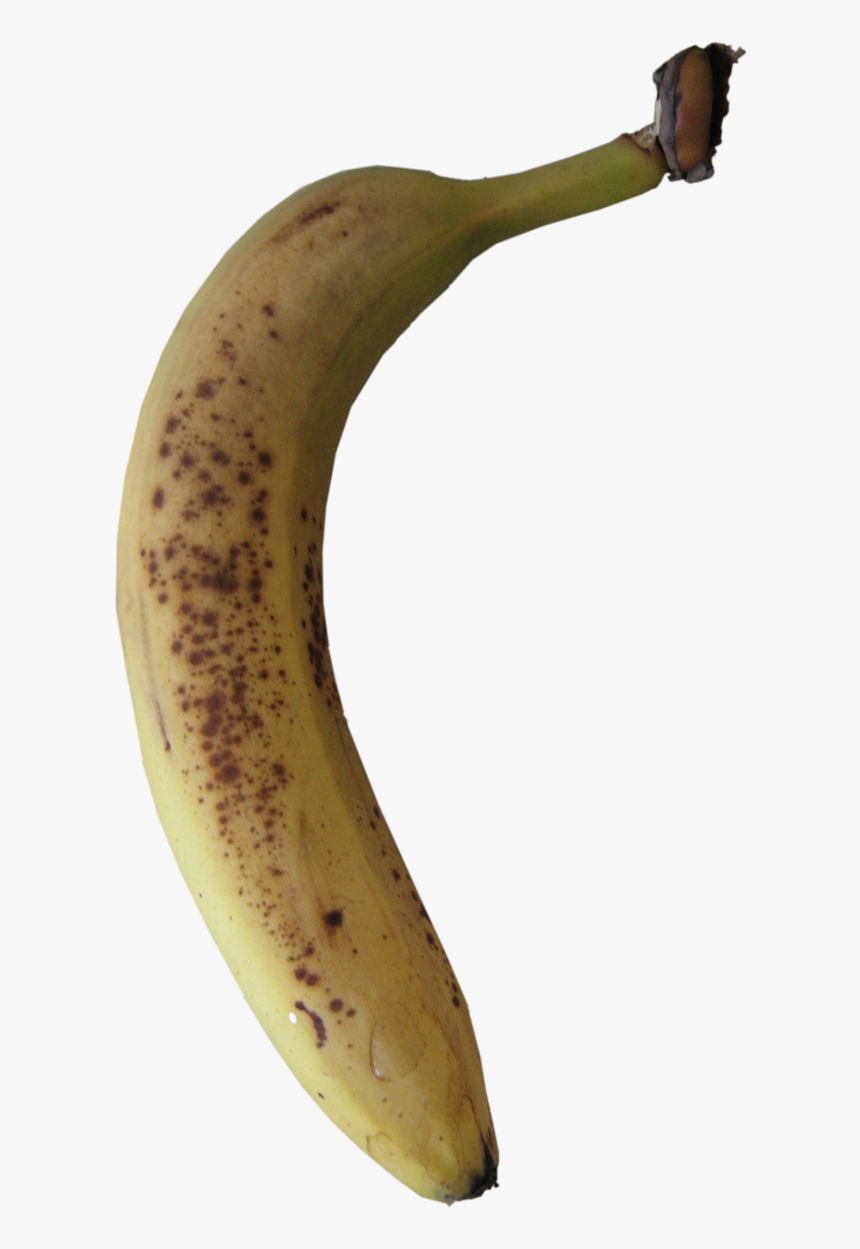 Saba Banana, HD Png Download, Free Download