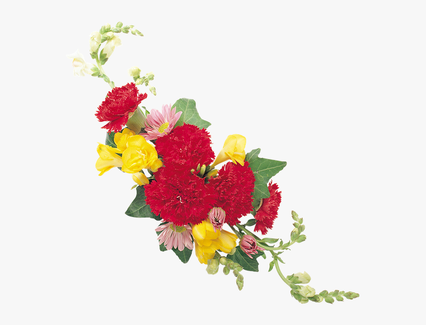 Букет Цветов, Гвоздика, Цветы Львиный Зев, Хризантемы, - Carnation, HD Png Download, Free Download