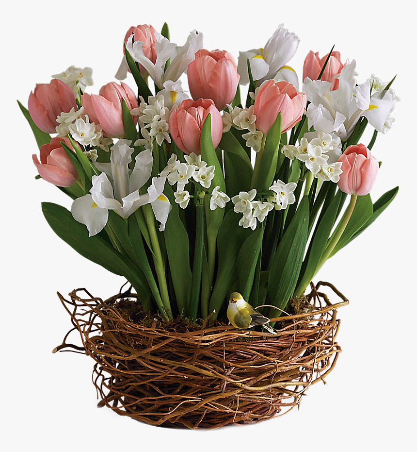 Happy Birthday Tulip Bouquet, HD Png Download, Free Download