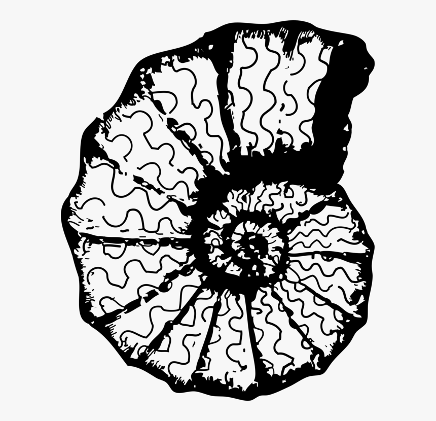 Monochrome Plant - Sea Shell Clip Art, HD Png Download, Free Download