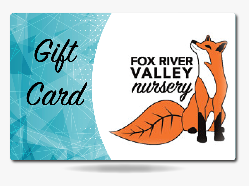 Gift Certificate - Kangaroo, HD Png Download, Free Download