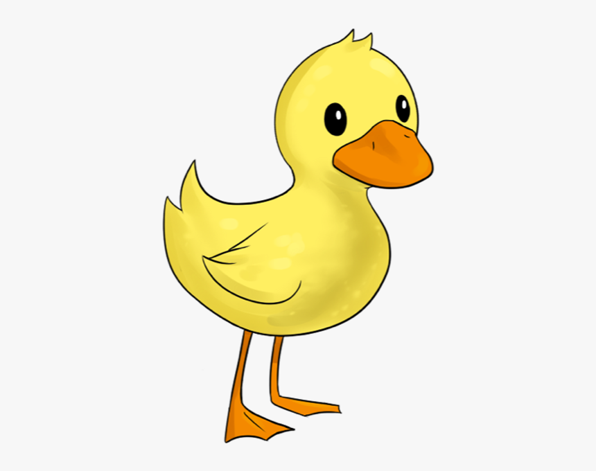 Duck Clipart Transparent Background, HD Png Download, Free Download