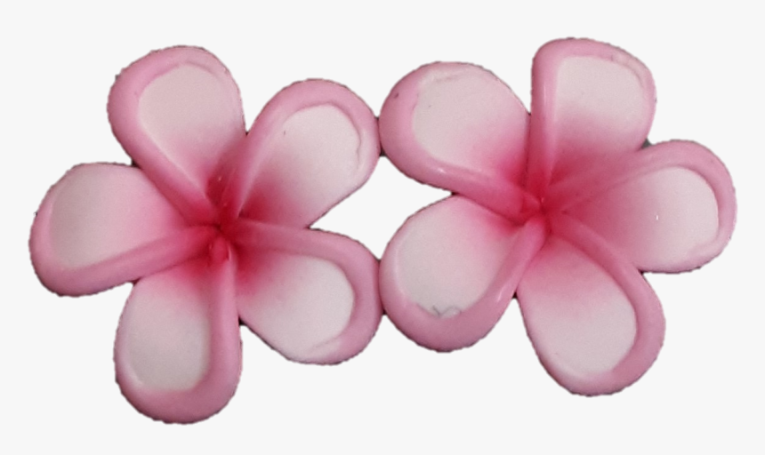 Mini Pink Rimmed Plumeria Earrings - Frangipani, HD Png Download, Free Download