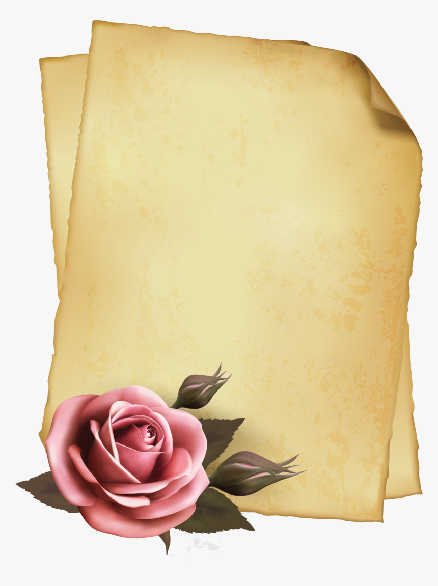 Ftestickers Paper Parchment Rose Vintage Freetoedit - مبروك القبول في الدراسات العليا, HD Png Download, Free Download