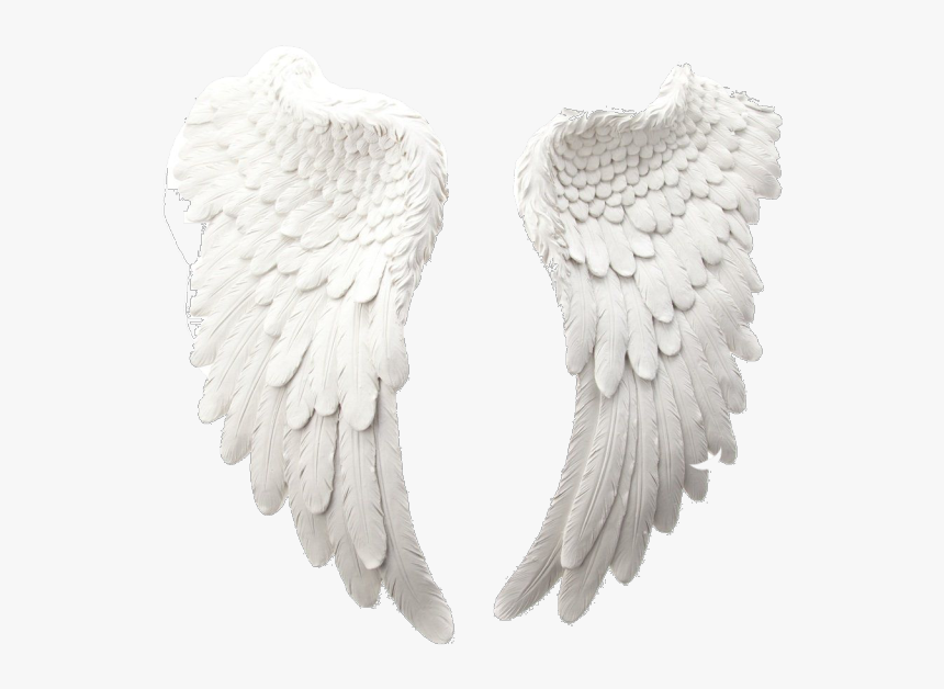 Image - Side Side View Realistic Angel Wings, HD Png Download, Free Download