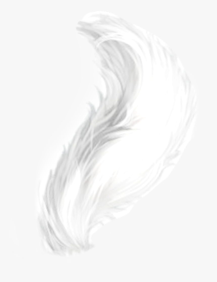 #white #cattail - Darkness, HD Png Download, Free Download