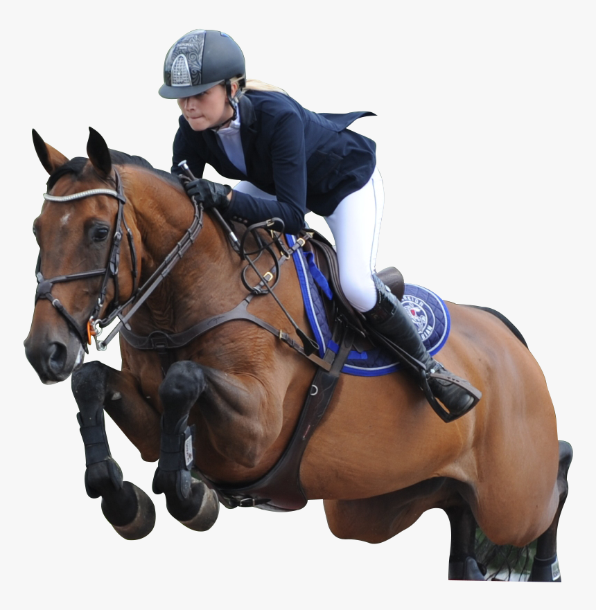 Image Is Not Available - Show Jumping Horses Png, Transparent Png, Free Download