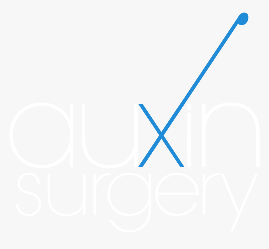 Auxin Surgery - Triangle, HD Png Download, Free Download