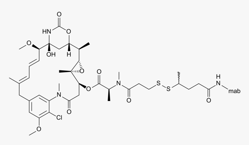 Trastuzumab Emtansine, HD Png Download, Free Download