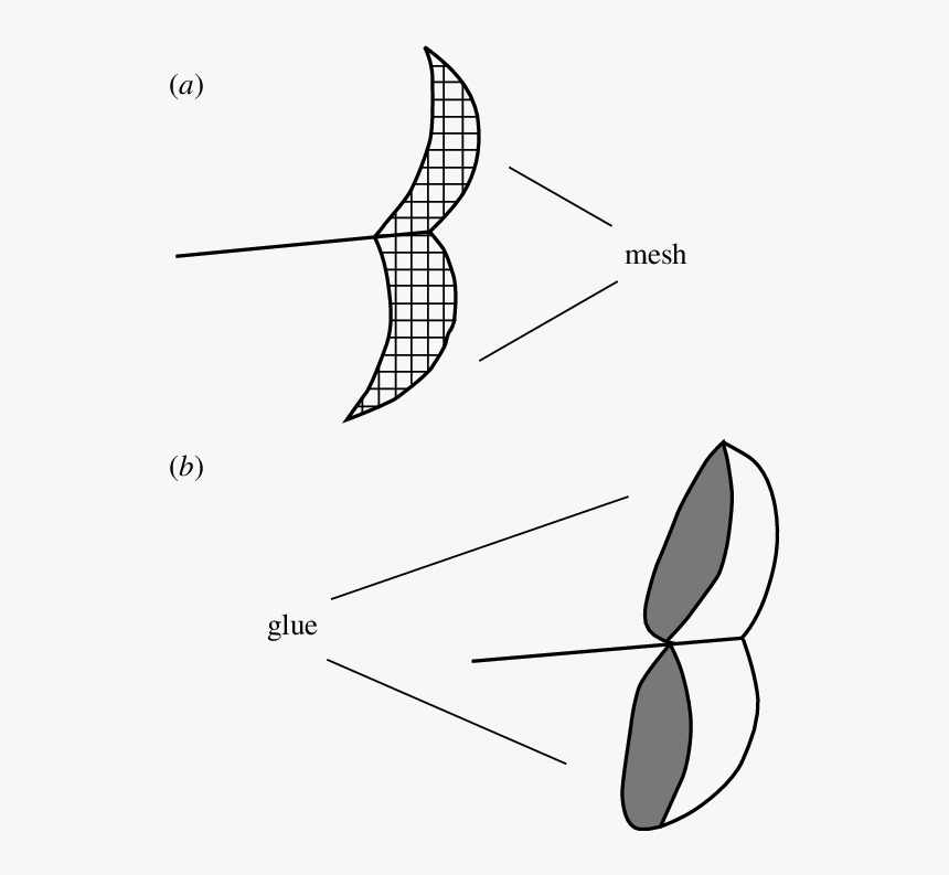 Diagram, HD Png Download, Free Download