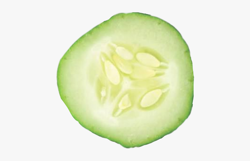 ##pepino - Cucumber, HD Png Download, Free Download