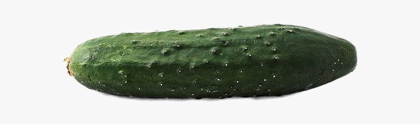 Single Cucumber Transparent Image - West Indian Gherkin, HD Png Download, Free Download