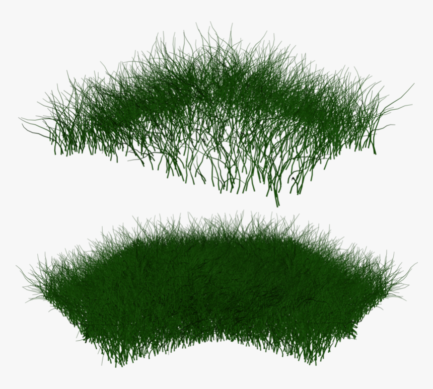 Grass Photoshop, Post Pro, Autocad, Project Presentation, - Portable Network Graphics, HD Png Download, Free Download